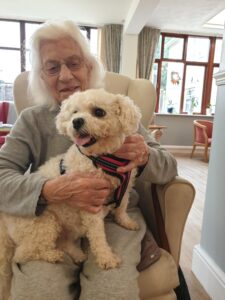 Porcha The Dog Visits The Firs Nursing Home in Taunton