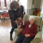 Visiting Dogs at Firs Nursing Home in Taunton