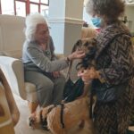 Visiting Dogs at Firs Nursing Home in Taunton