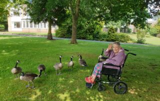 Feeding the Geese at The Firs Nursing Home In Taunton